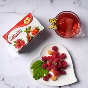 دمنوش رزبری صنایع غذایی111 تی بگ 20 عددی