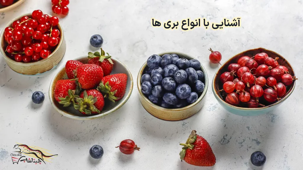 انواع میوه های بری