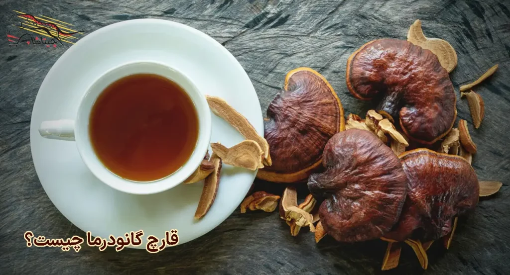 خواص قارچ گانودرما