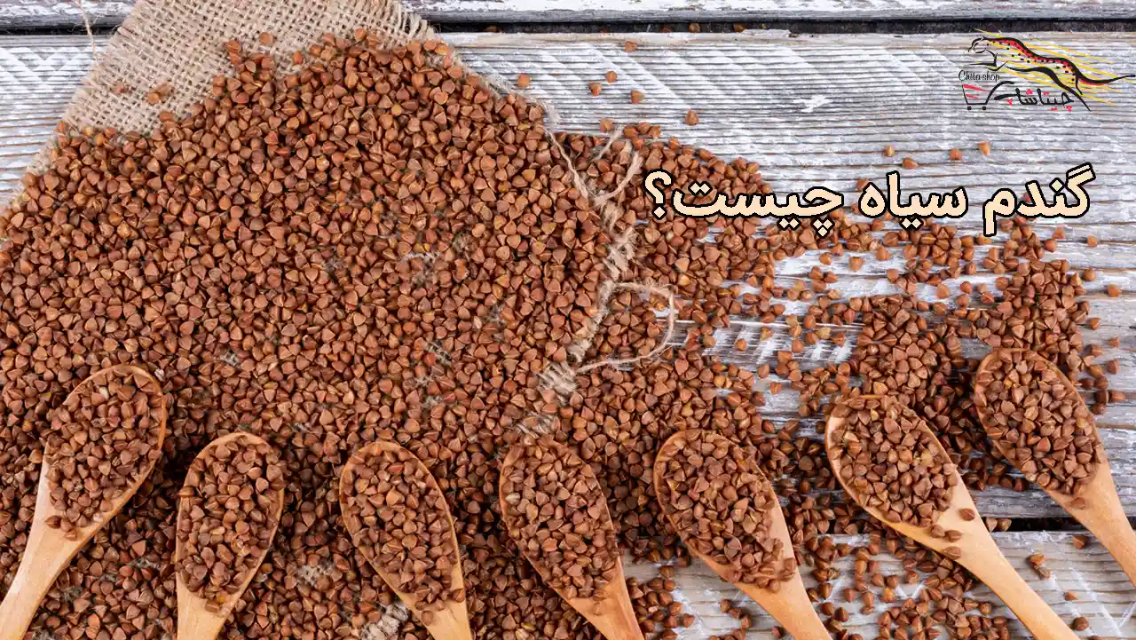 گندم سیاه چیست