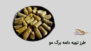 طرز تهیه دلمه برگ مو برای 6 نفر